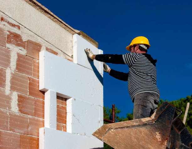 Best Eco-Friendly Insulation in Arbuckle, CA