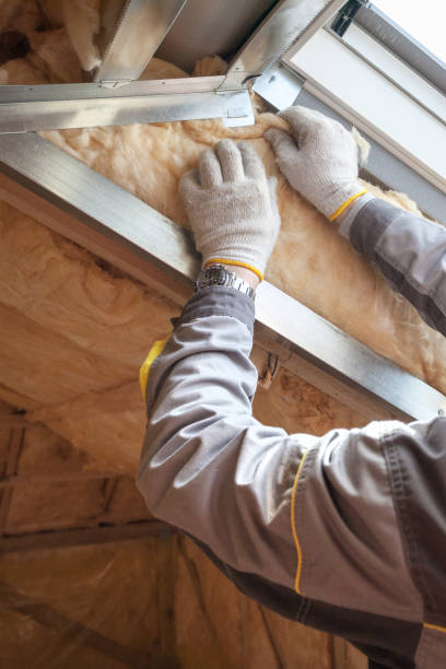 Best Specialized Insulation Services in Arbuckle, CA